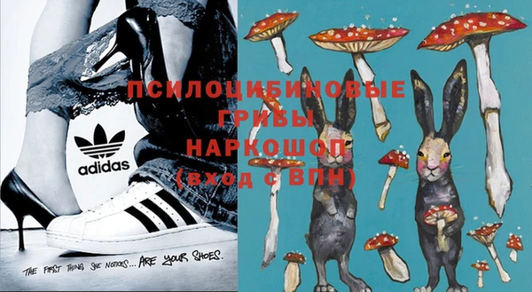 хмурый Надым