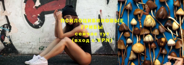 индика Нея